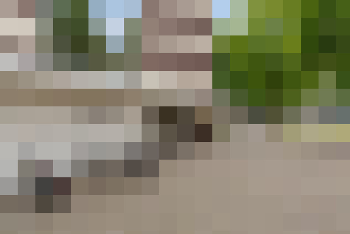  / #14
