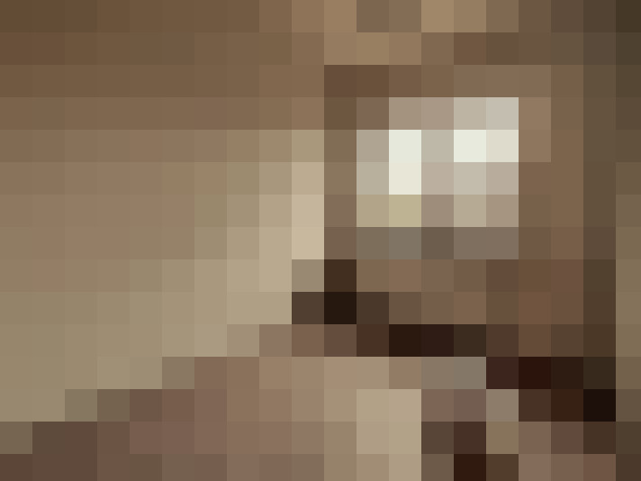  / #11