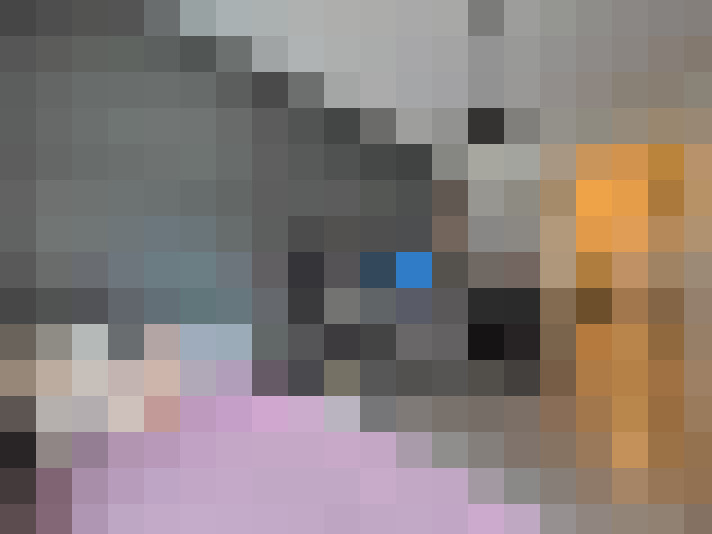  / #19
