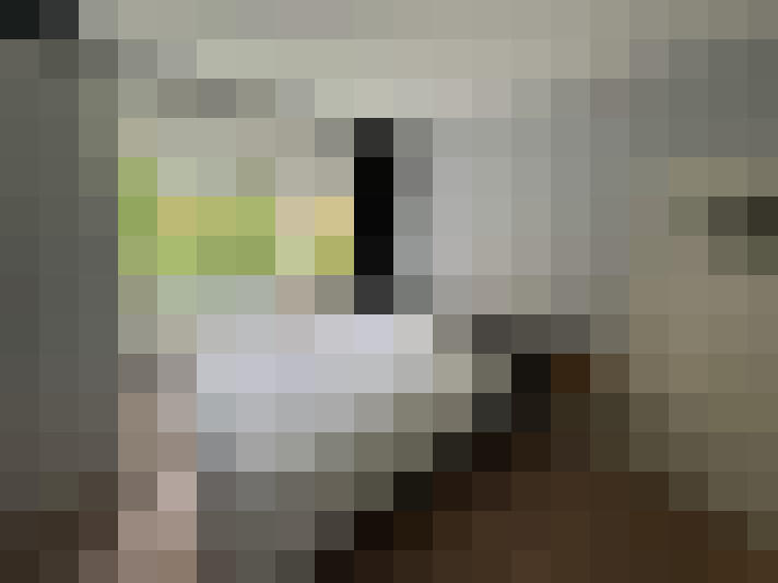  / #15