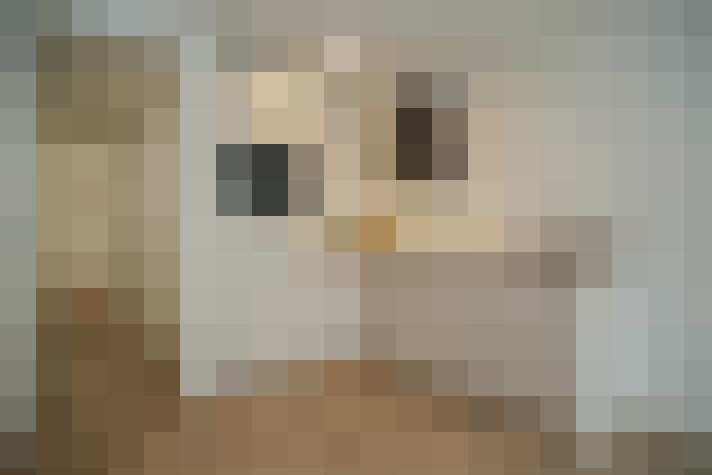  / #8