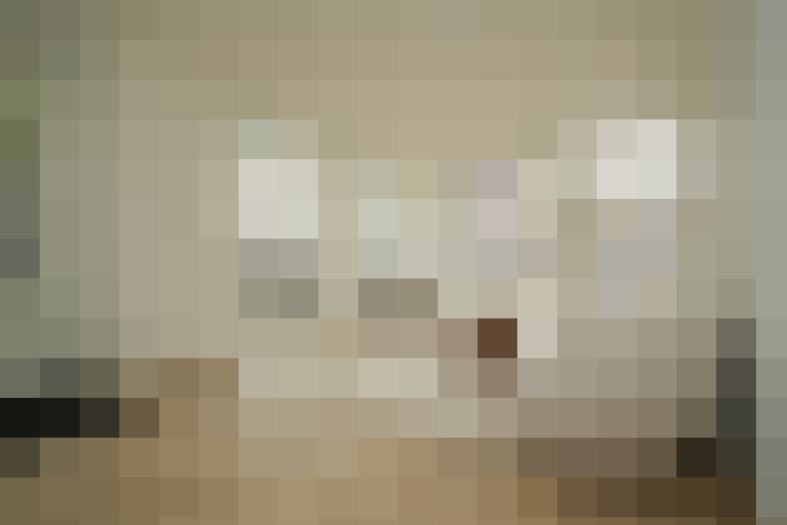  / #11