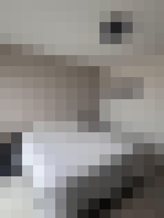  / #11