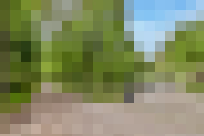  / #16