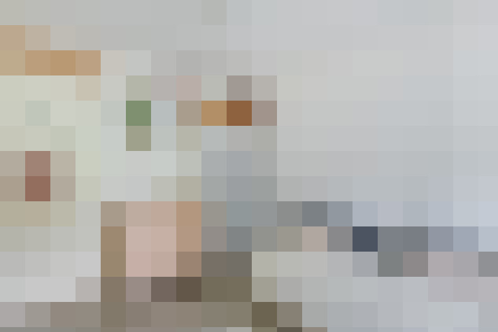  / #19
