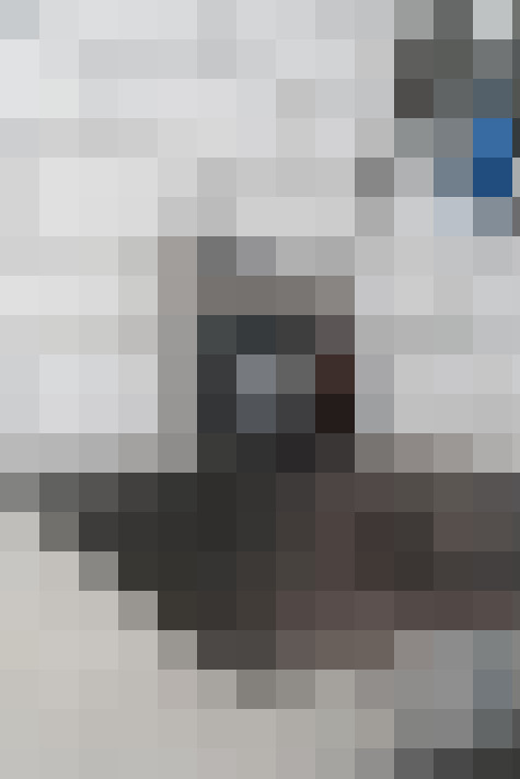  / #11
