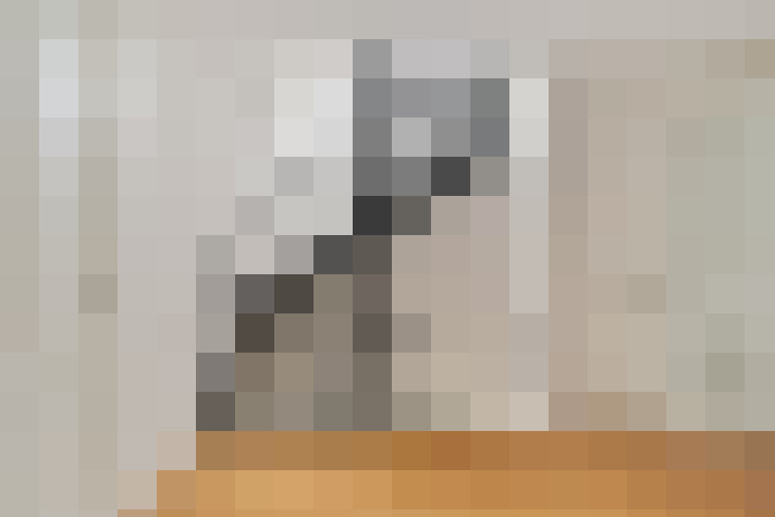  / #23