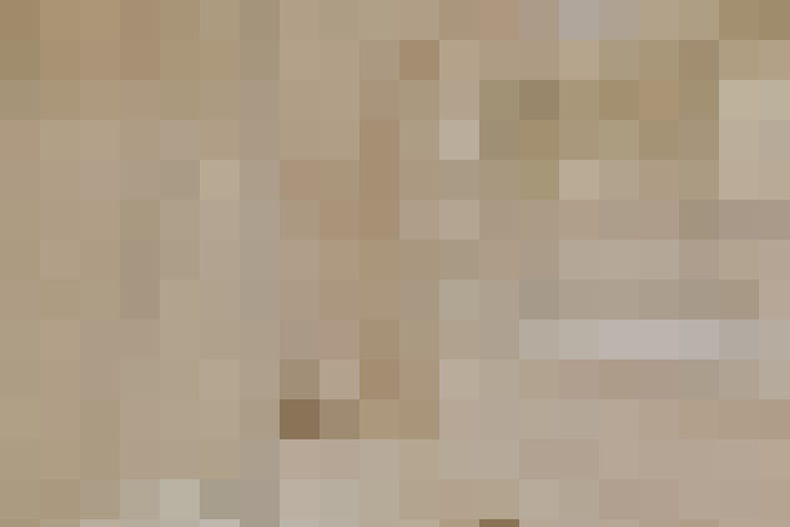  / #21