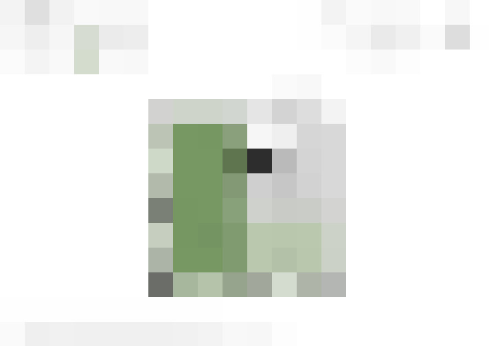  / #16