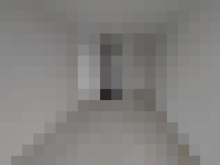  / #20
