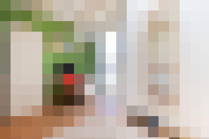  / #20
