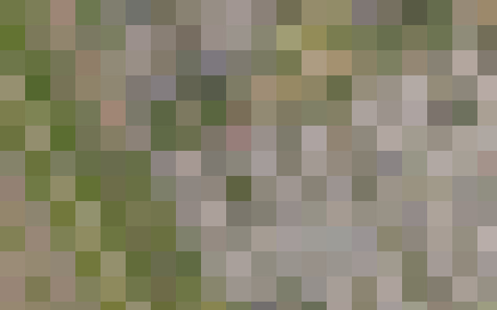 / #16