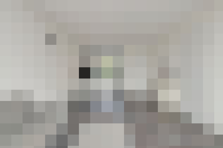  / #24
