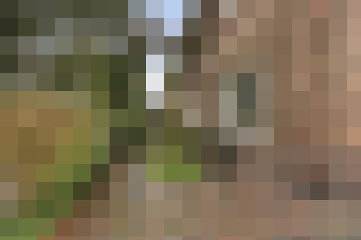  / #20