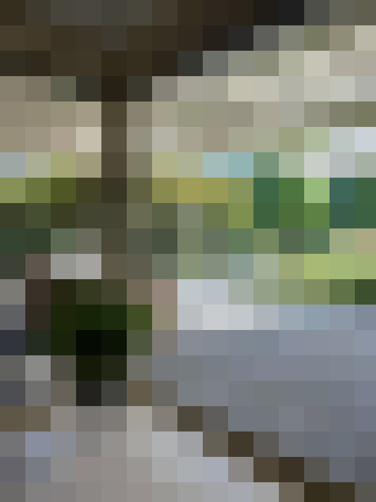  / #17