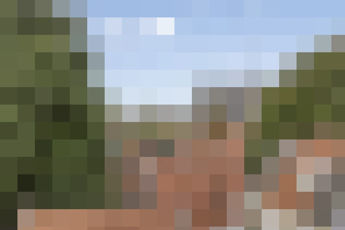  / #18