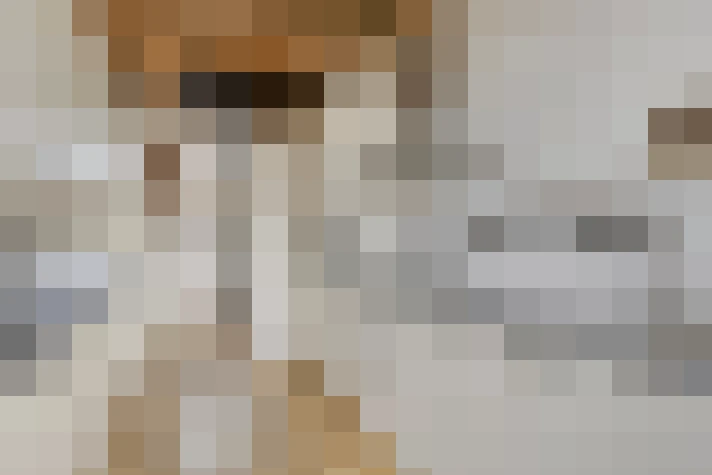  / #13
