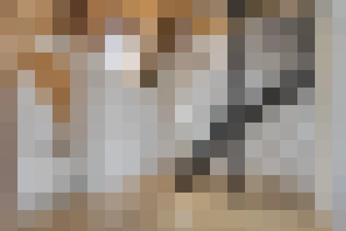 / #15