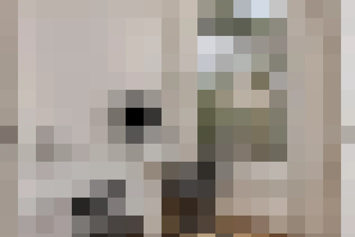  / #18