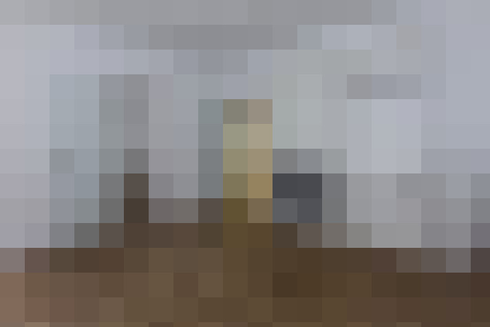  / #8