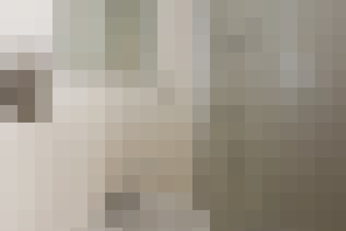  / #15