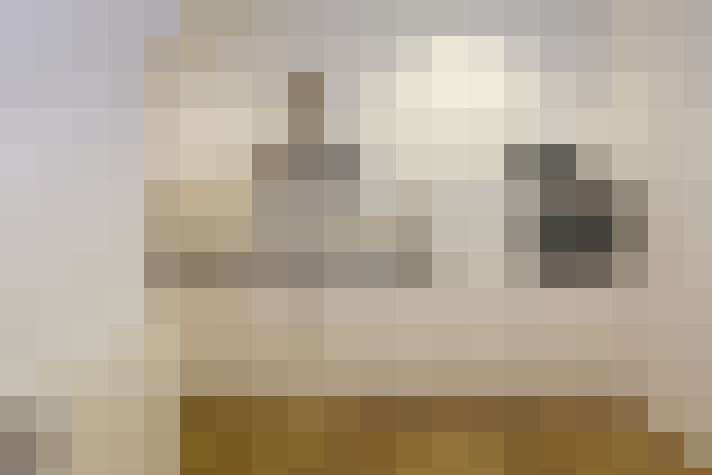  / #12