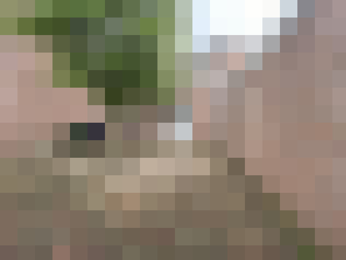  / #18