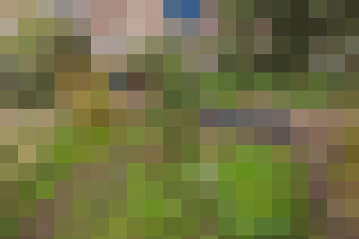  / #17