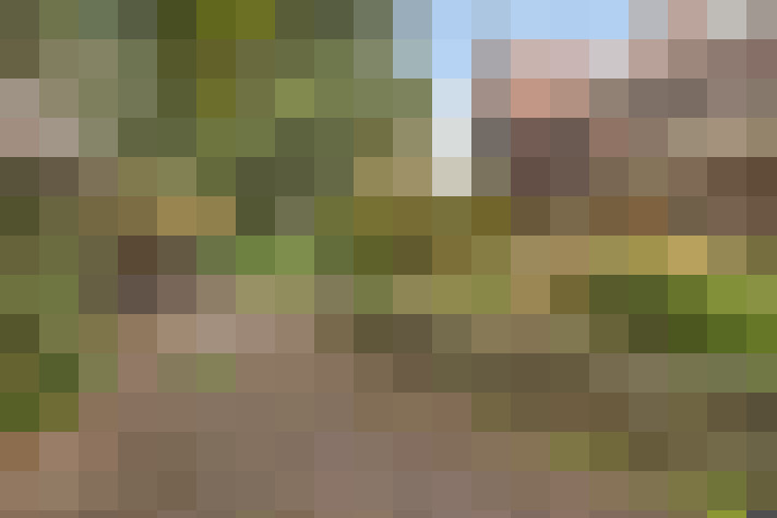  / #14