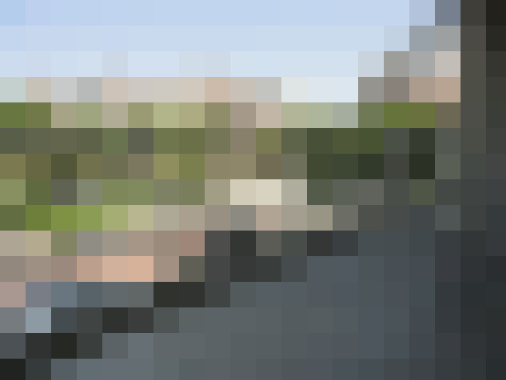  / #13