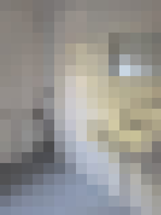  / #14
