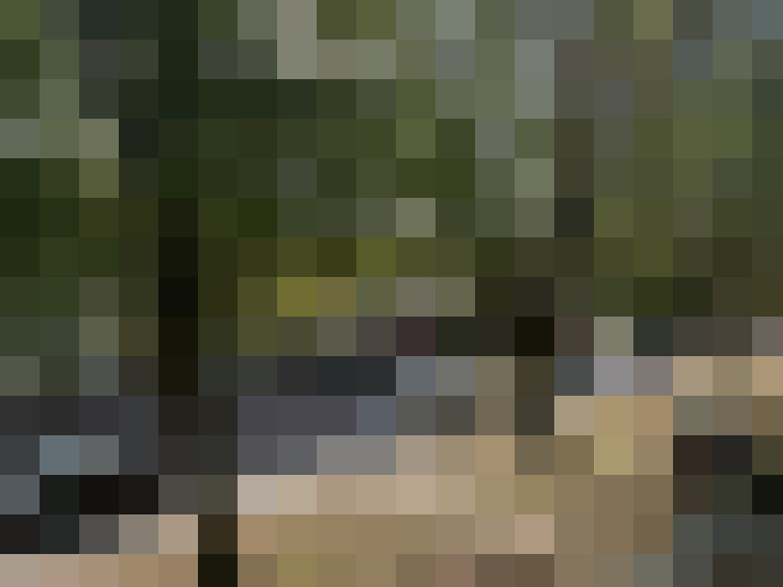  / #7