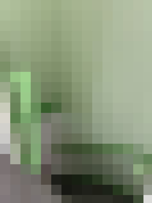  / #9