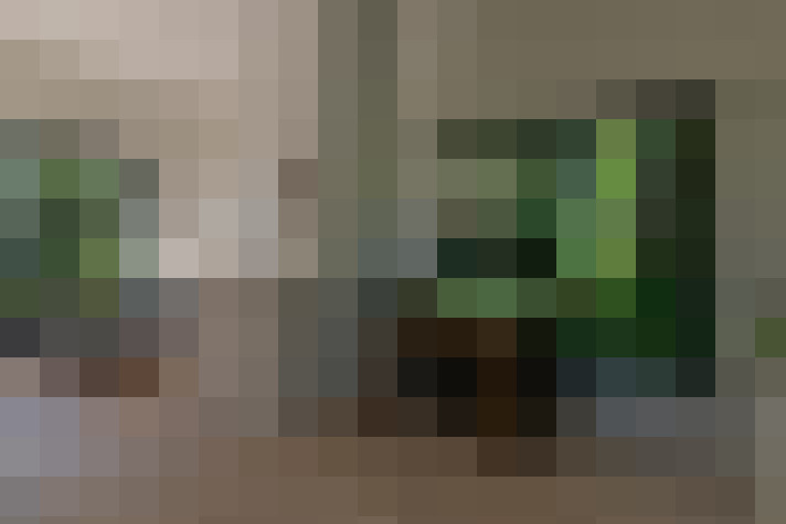  / #6