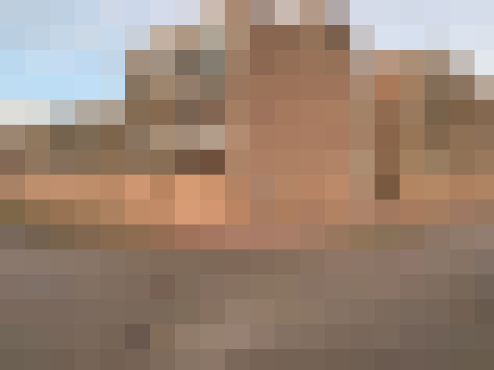  / #20