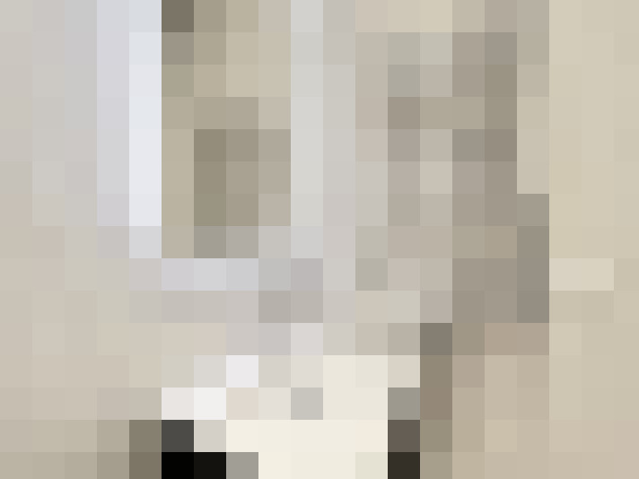  / #14