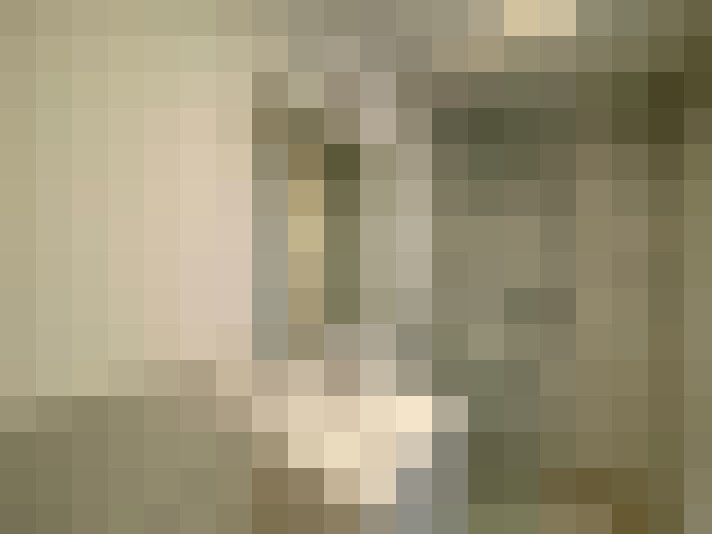  / #14