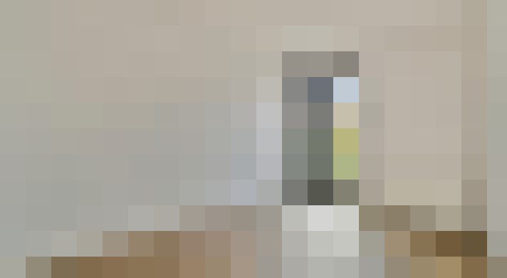  / #16