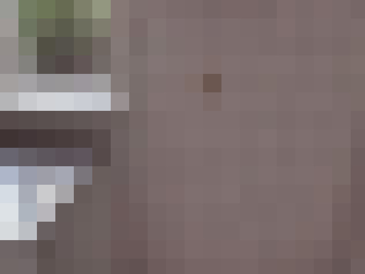  / #19