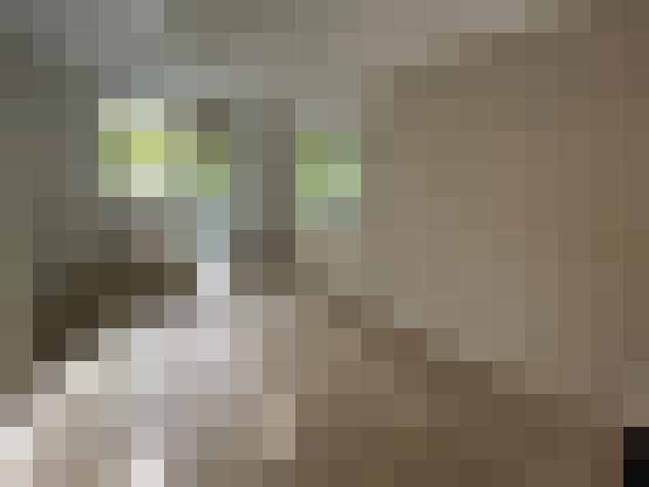  / #13