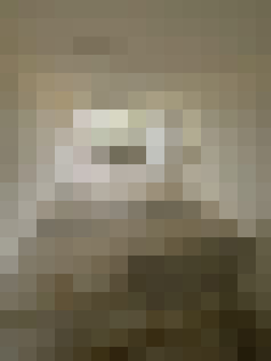  / #16