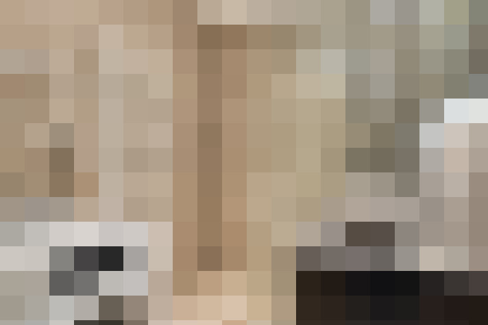  / #14