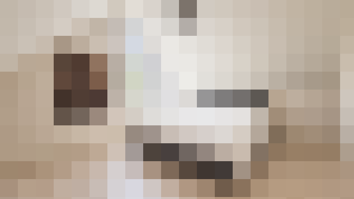  / #26