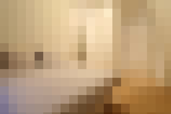  / #8