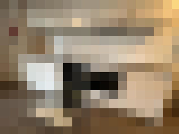  / #8