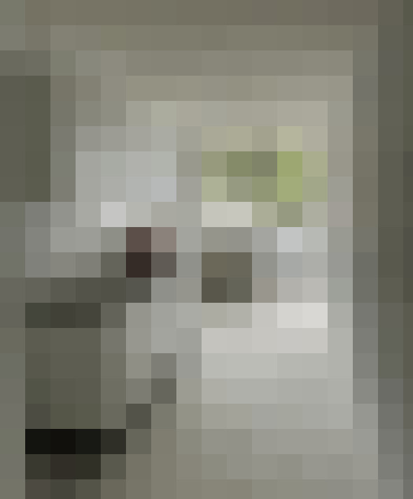  / #13