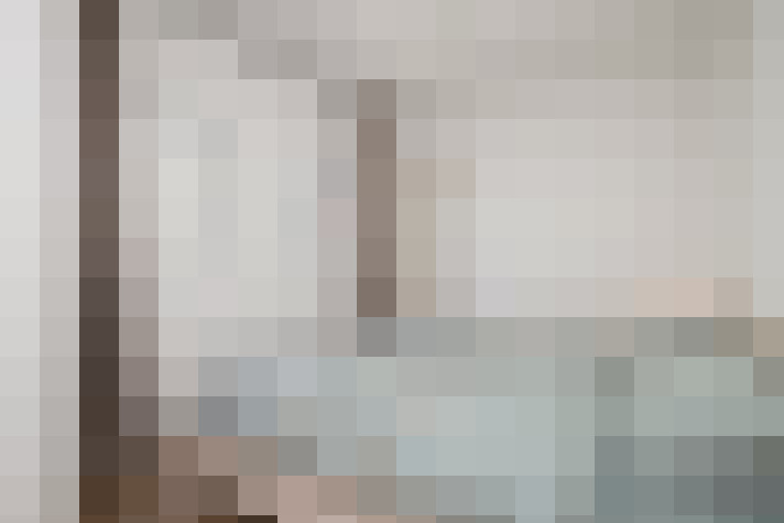  / #24