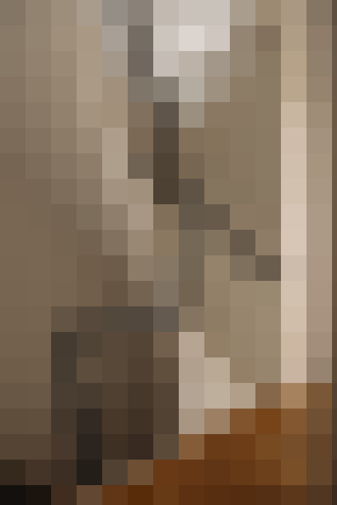  / #19