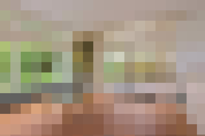  / #15