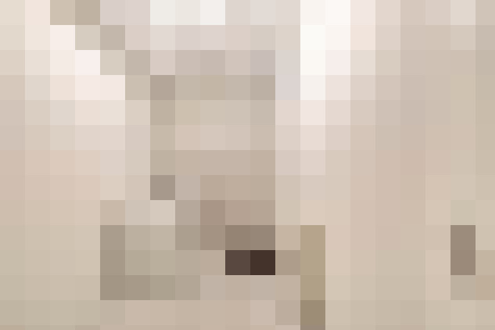  / #24